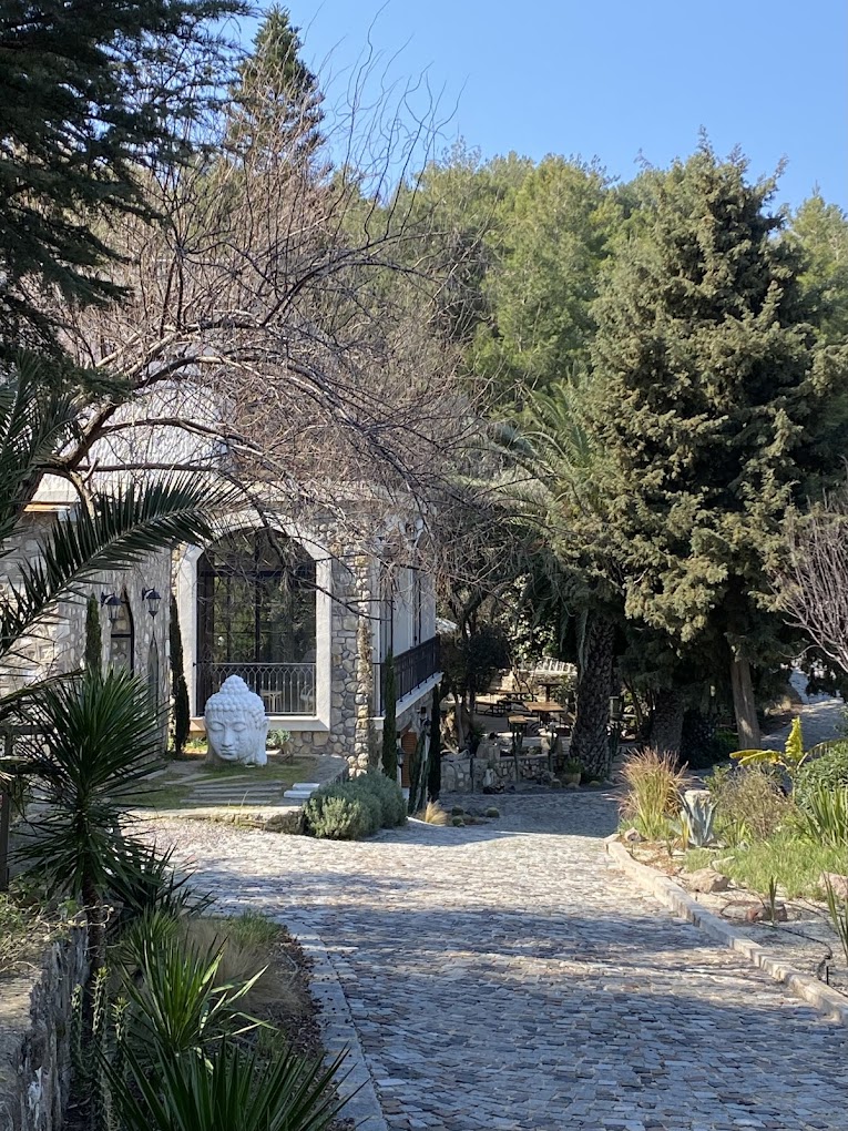 Cihangir Yoga ile Ebeveyn-Çocuk Yoga & Mindfulness Kampı Meltem Fakaba