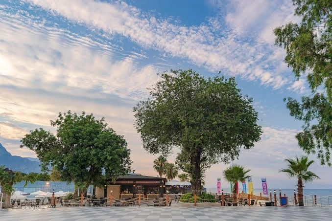 Aile Sistem Dizilimi, Ses ve Nefes Meditasyon Kampı Cenk Güçbilmez