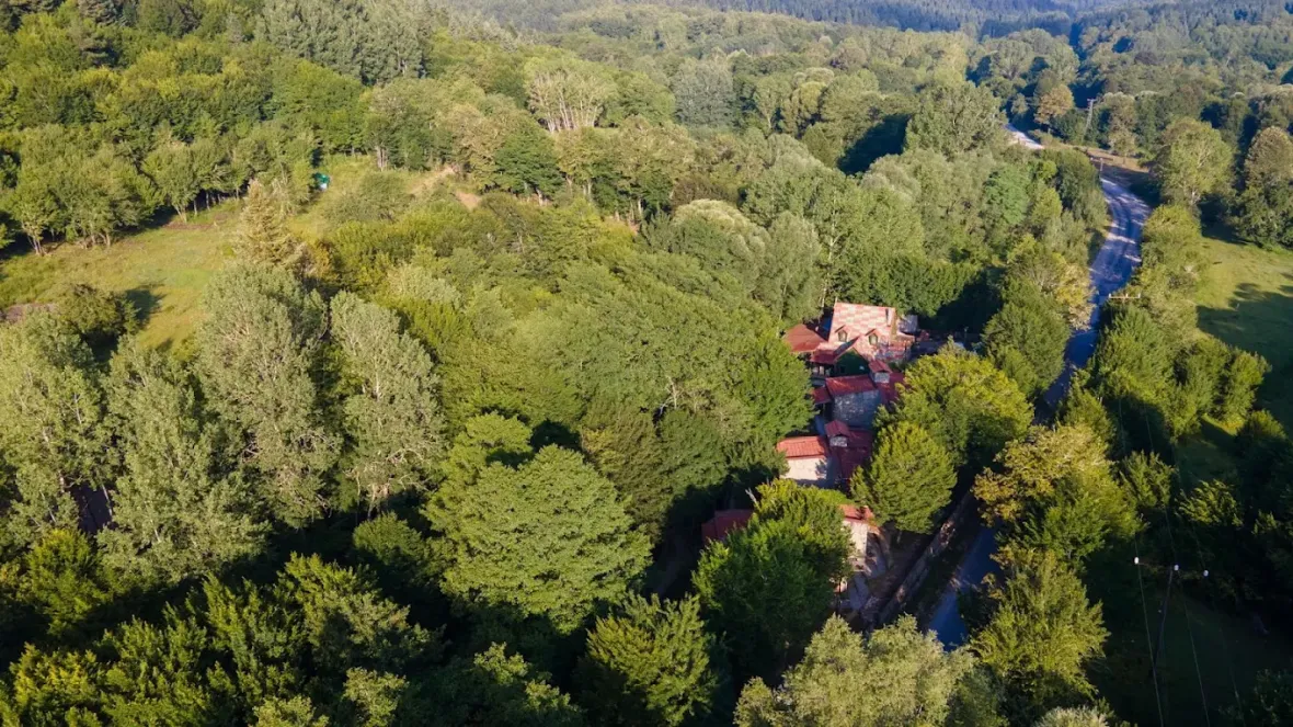 Bolu'da Yoga, Meditasyon ve Dinlenme Kampı | Burcu ve Özkan ile 85. Ka