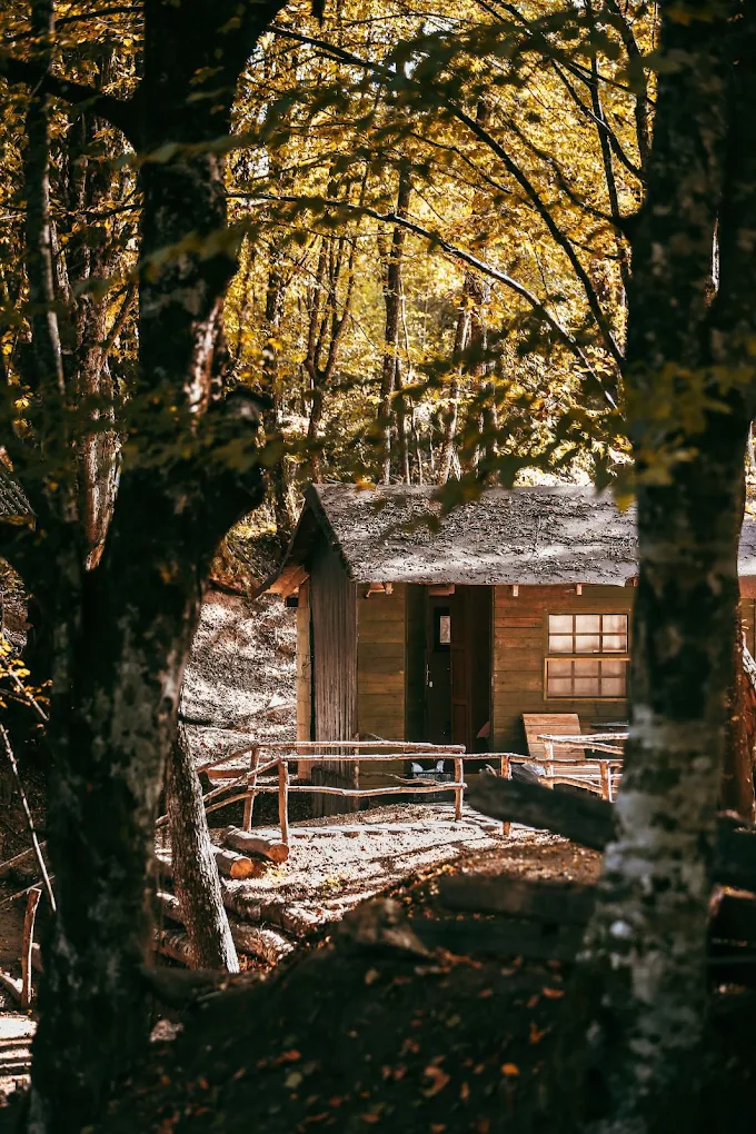 Bolu'da Yoga, Meditasyon ve Dinlenme Kampı | Burcu ve Özkan ile 85. Ka