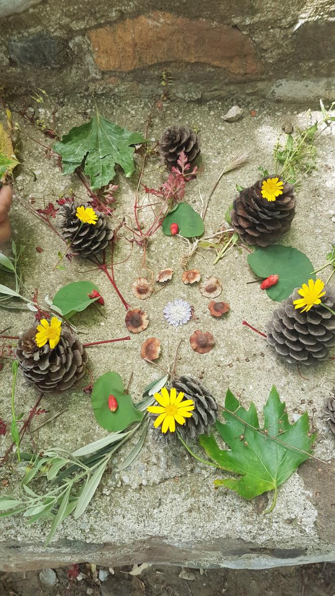 Urla'da Yoga Tatili ve Mandala Çalışması Banu Çadırcı