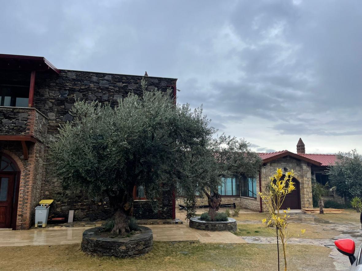 Uyanış Yoga İnzivası Özge Küçükkaya