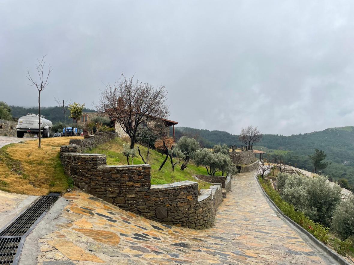 Uyanış Yoga İnzivası Özge Küçükkaya