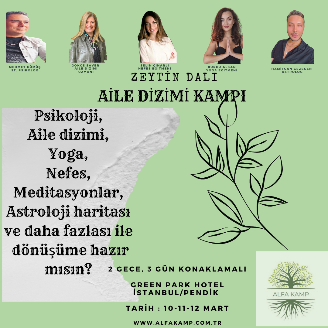 Zeytin Dalı Aile Sistem Dizilimi Psikoloji ve Yoga Kampı