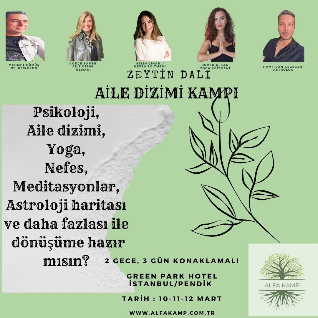 Zeytin Dalı Aile Dizilimi Psikoloji ve Yoga Kampı